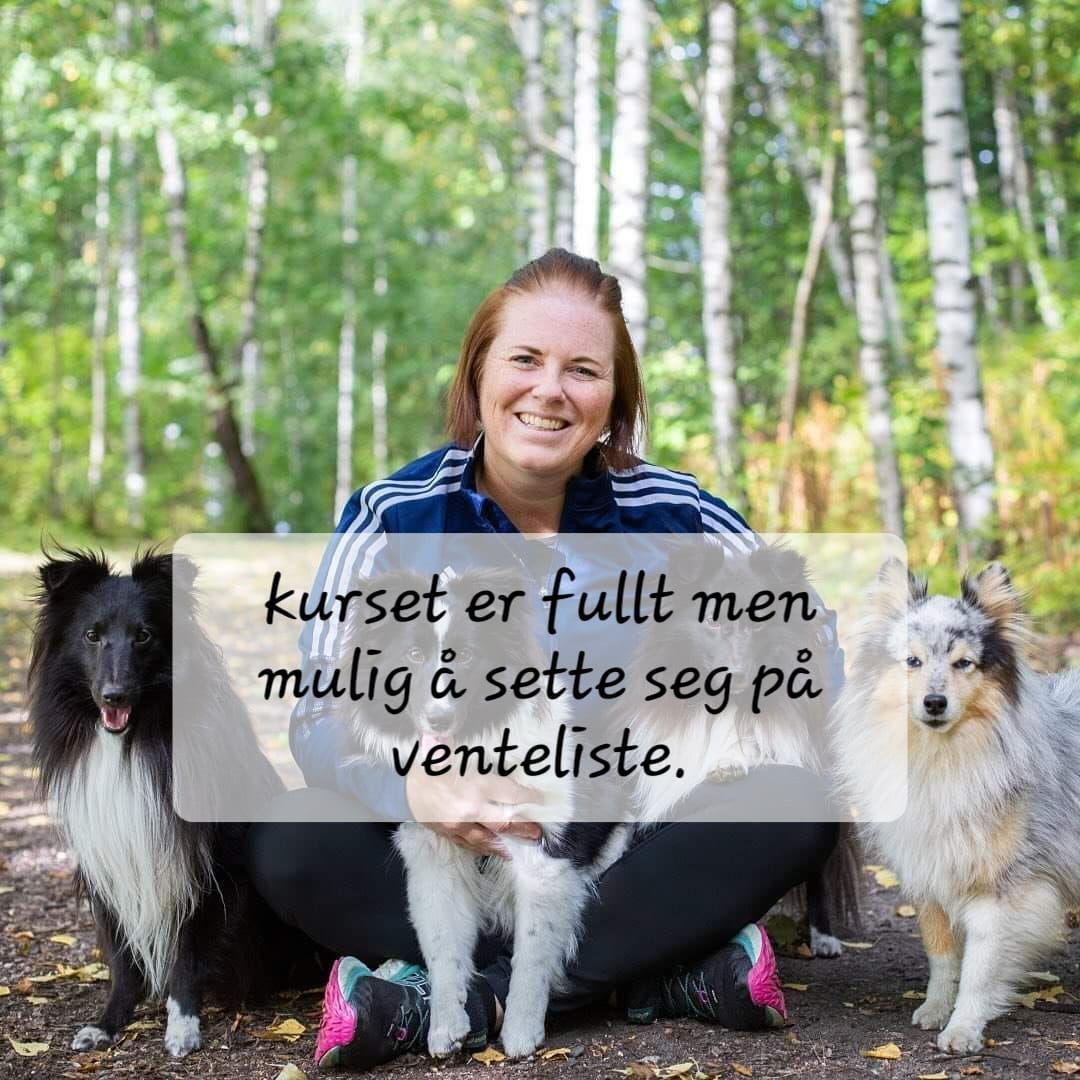 Agilitykurs med Irene yrstad 