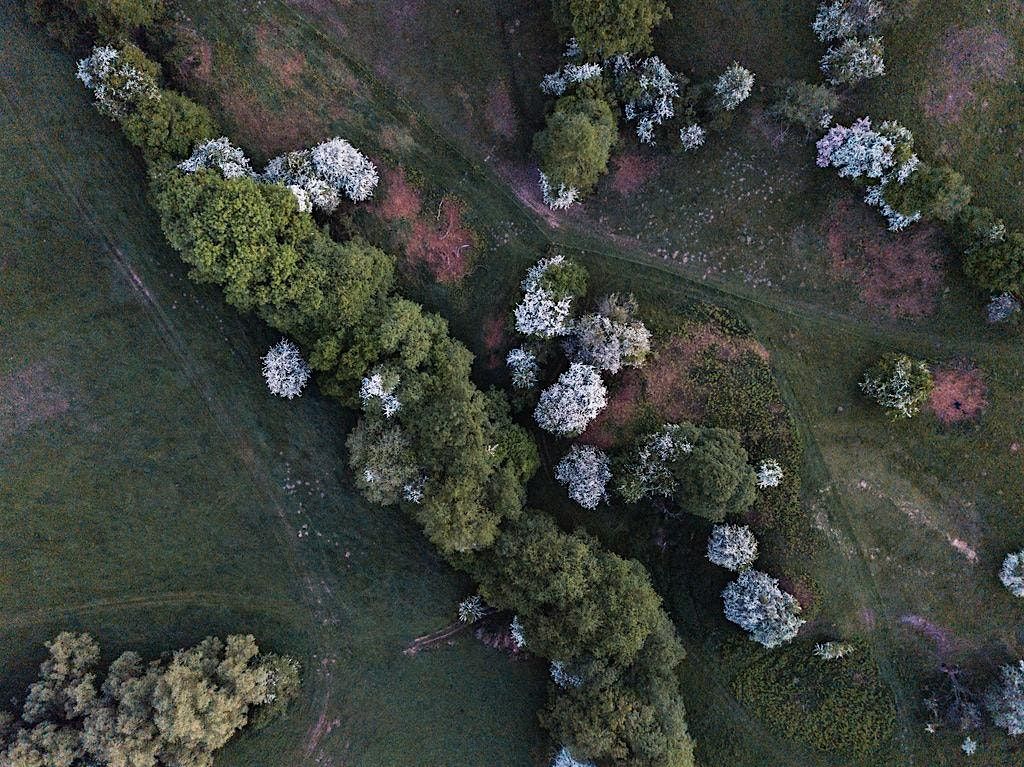 Spring Farm Walk 2026