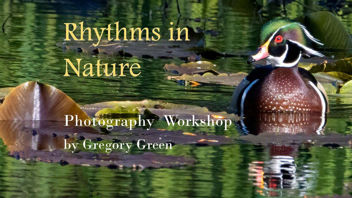 Finding the Rhythm in Nature Photography Workshop