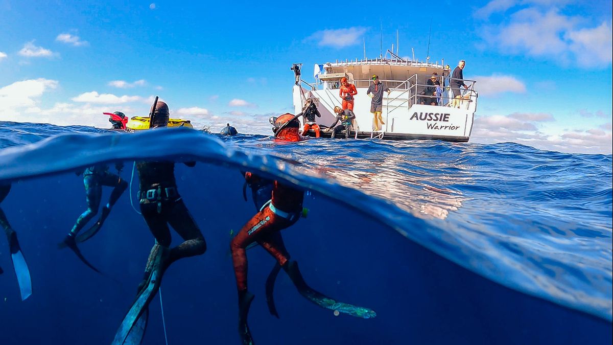 Abrolhos Island Charter