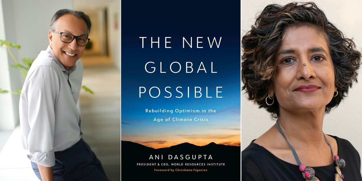 The New Global Possible by Ani Dasgupta with Somini Sengupta