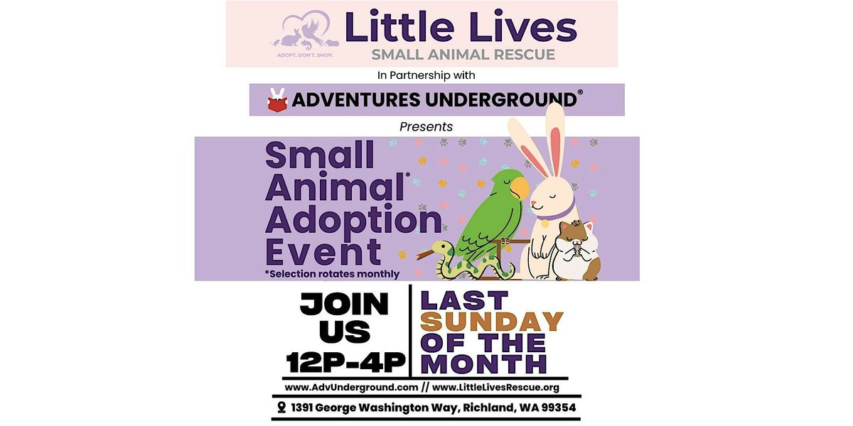 Little Lives Small Animal Adoption