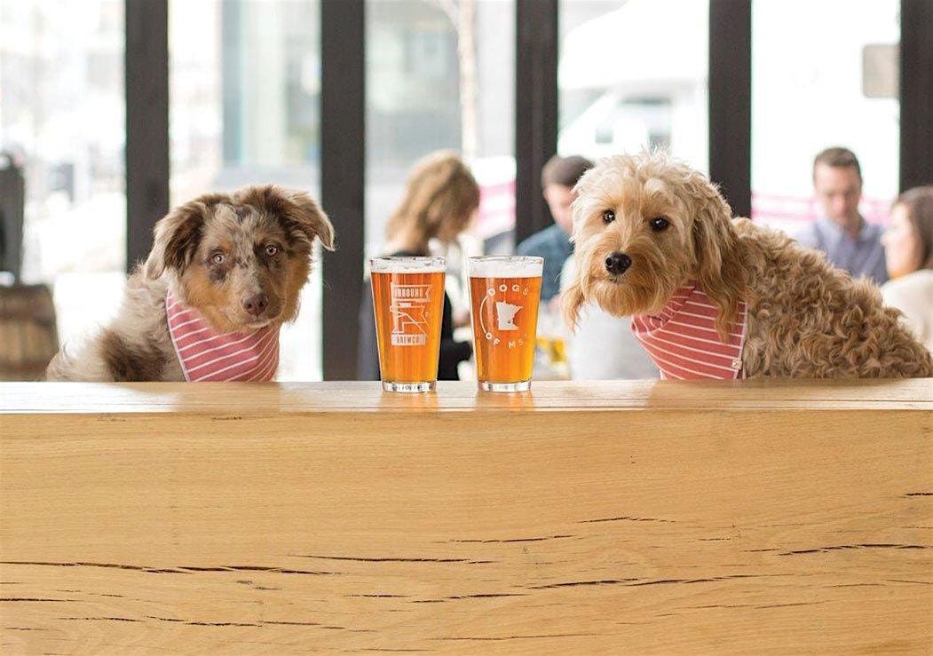 Barks & Brews