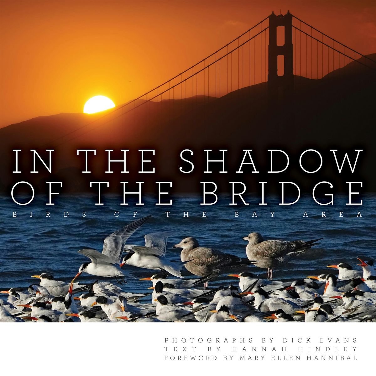 'In the Shadow of the Bridge: Birds of the Bay Area' Book Presentation