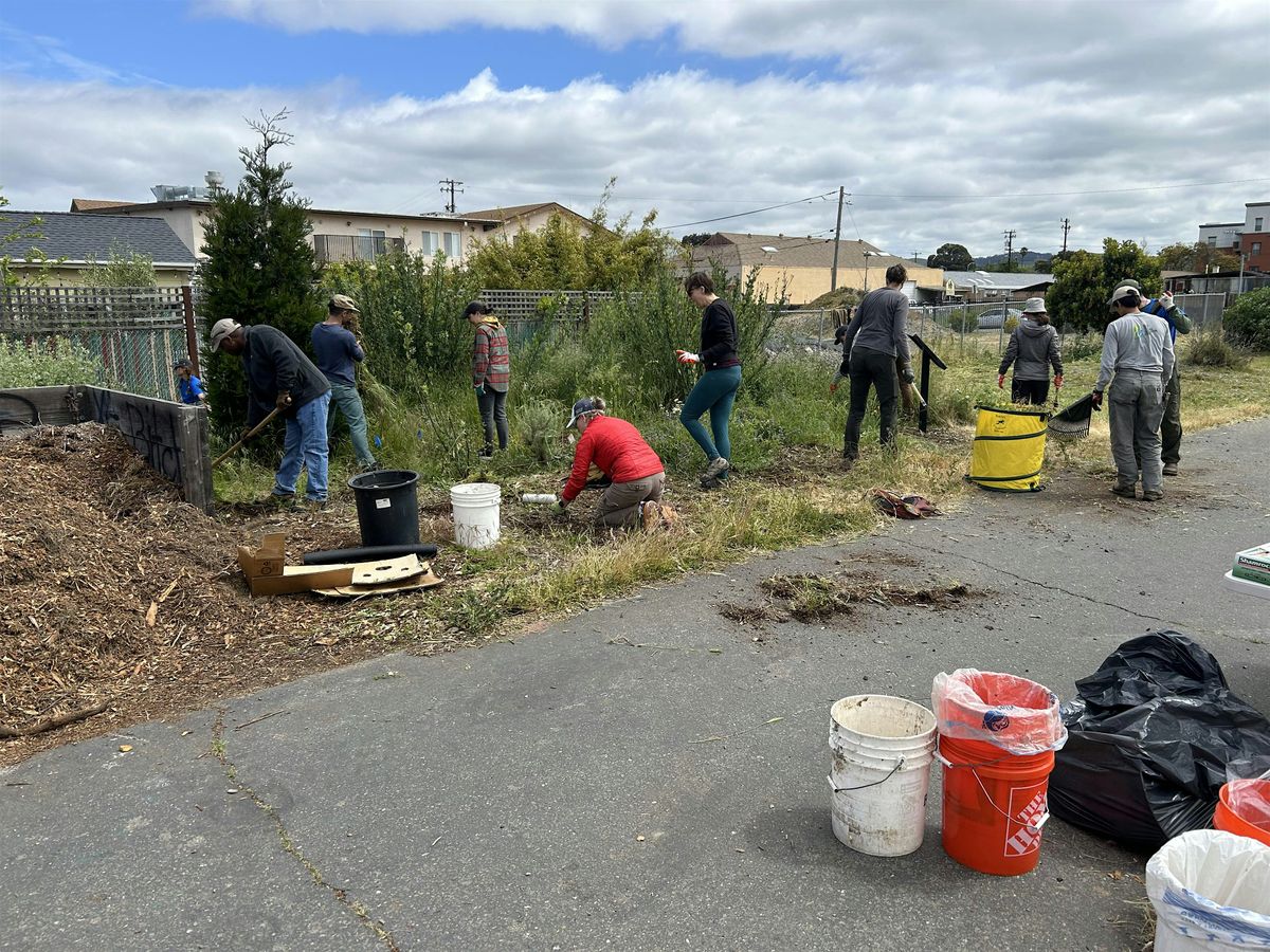 MLK Day of Service on the Richmond Greenway with CCRCD