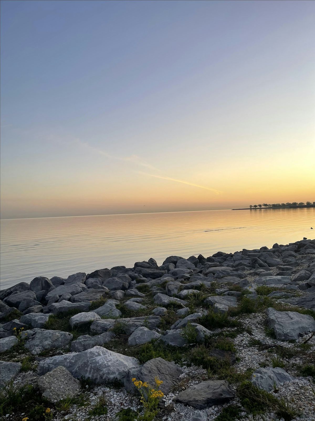Community and Wellness Connections at Sunset
