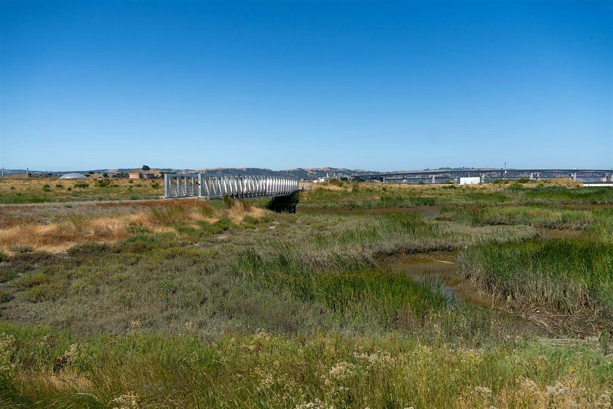 Tour of Ralph D. Bollman Water Treatment Plant and Pacheco Marsh