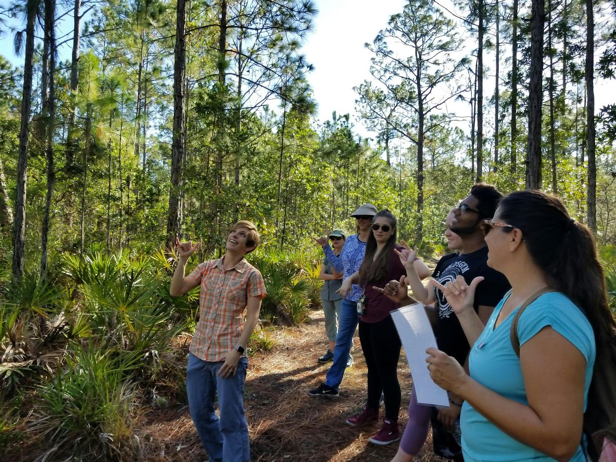 Florida Forests  Hike