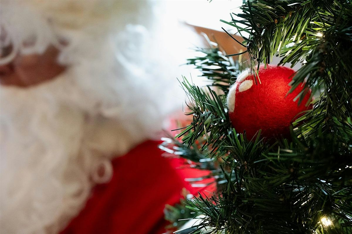 Santa at The Green Howards Museum