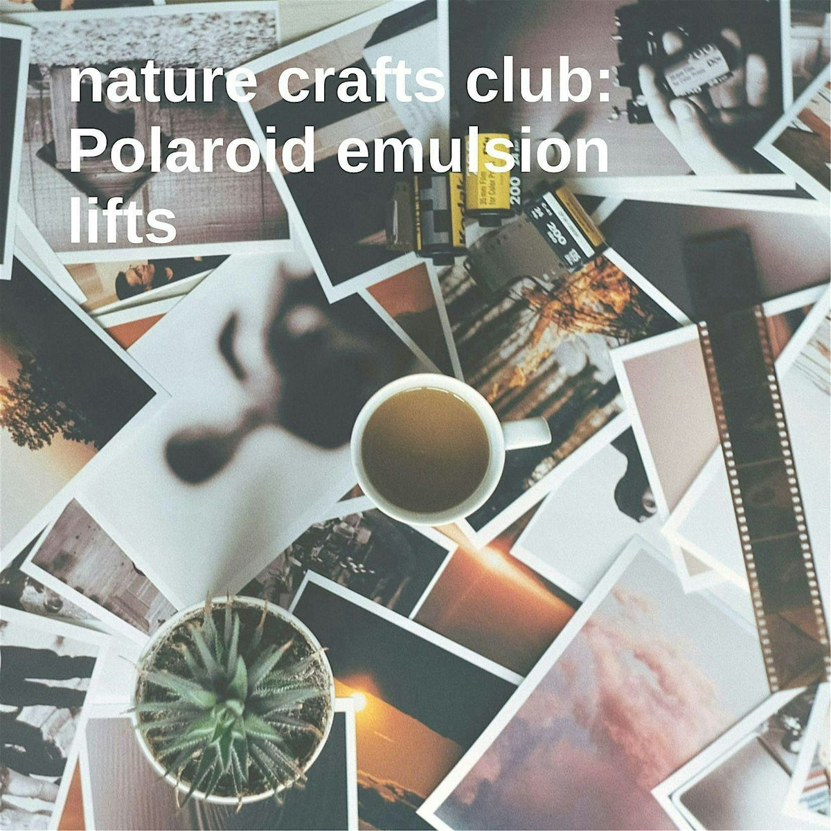 Nature Crafts Club: Polaroid Emulsion Lifts Workshop