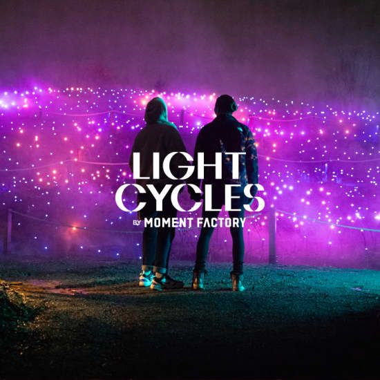 Light Cycles: A glowing night walk through nature, light, and sound