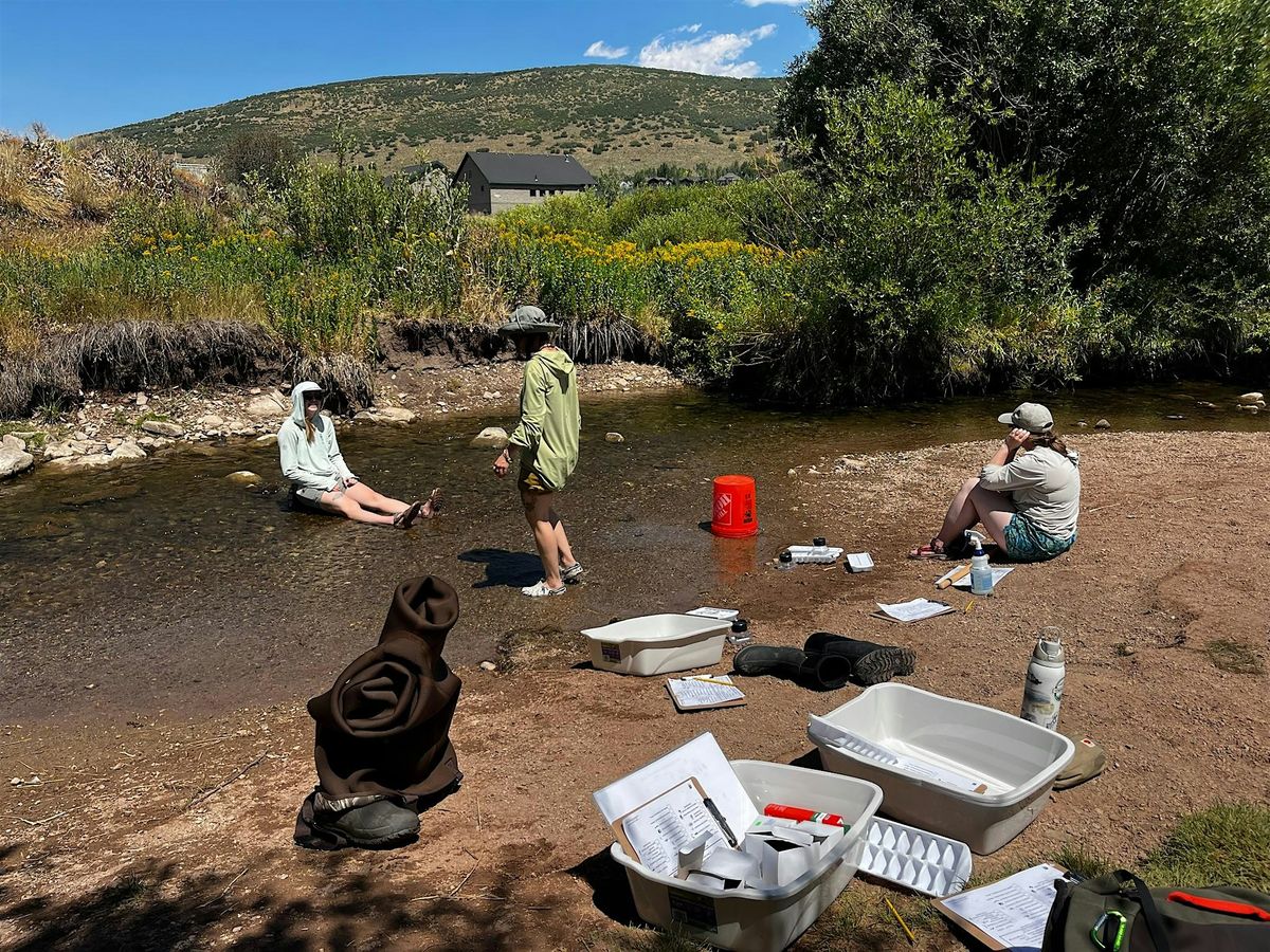 Creek Critter Biosurvey