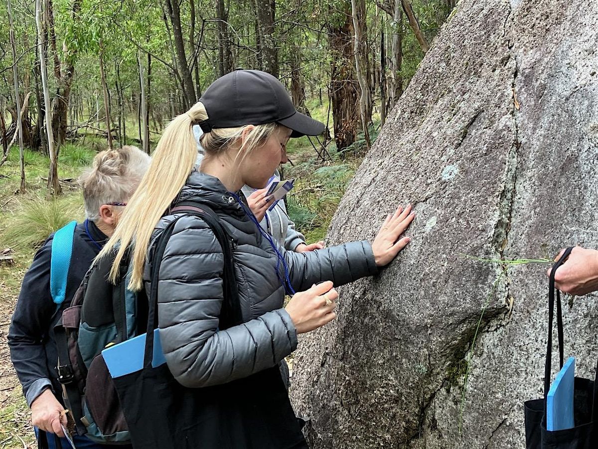 Guided Forest Therapy walk at Tidbinbilla Nature Reserve