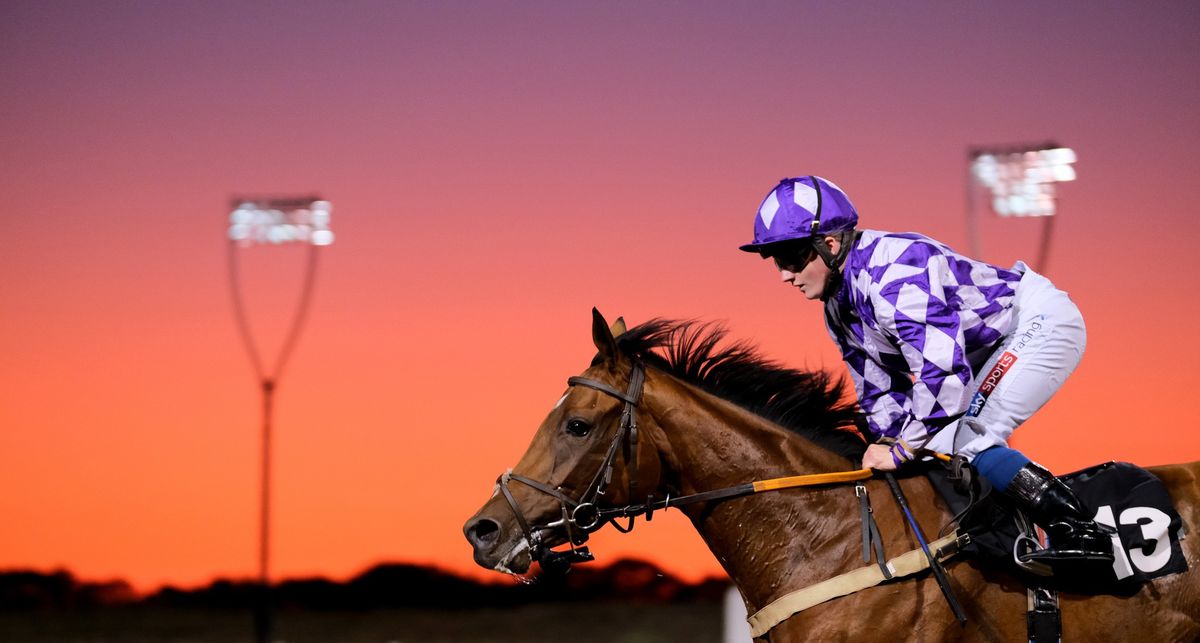 Saturday Floodlit Racing