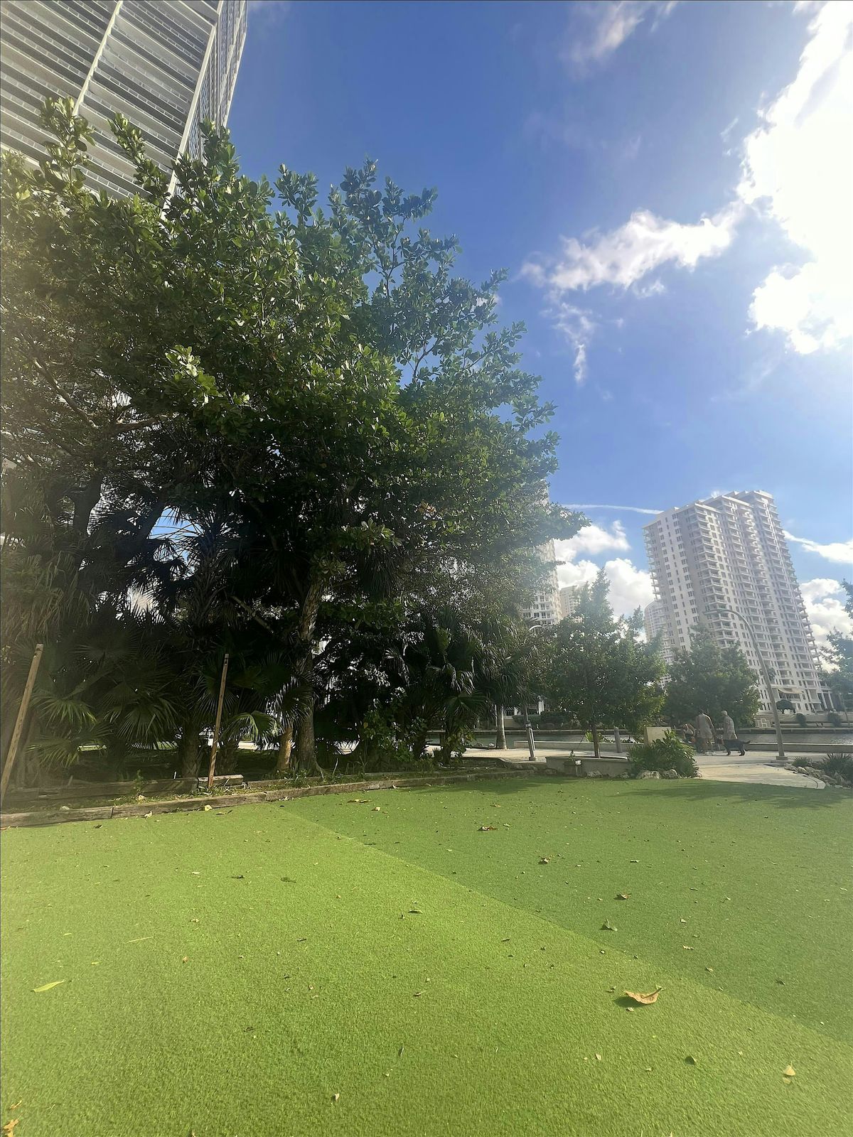 Sunrise Yoga in Brickell