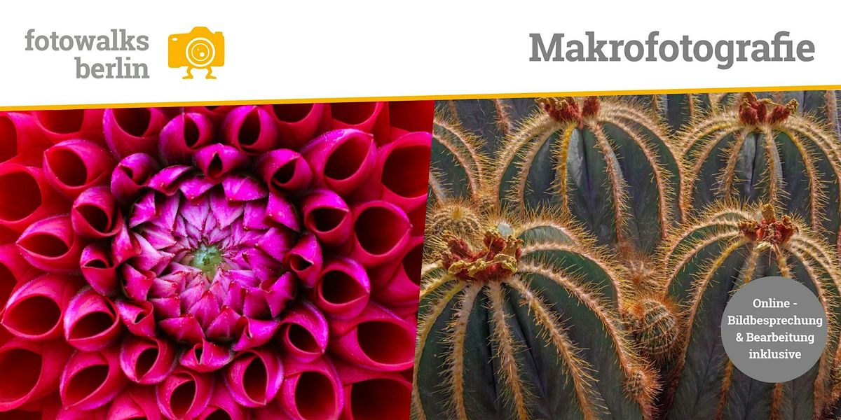 Fotokurs Berlin: Makrofotografie  Indoor  am 15.02.2026 + Bildbesprechung