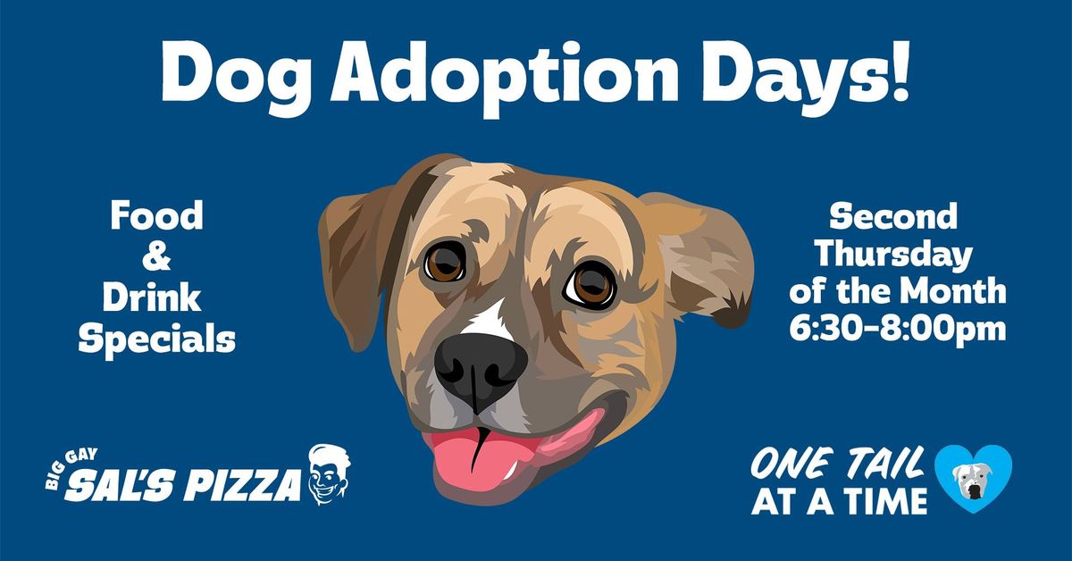 Big Gay Dog Adoption Days with One Tail at a Time!