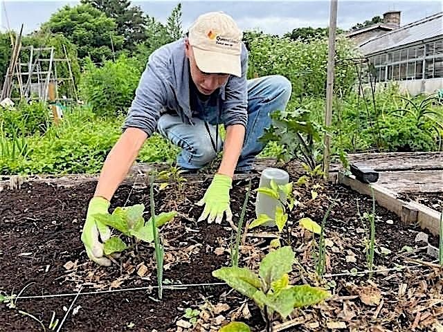 Master Composter Course: Caring for Soils