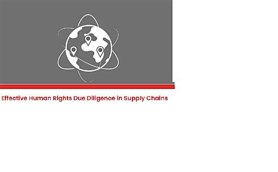 ONLINE  Effective Human Rights Due Diligence in Supply Chains - 18 FEB 2025