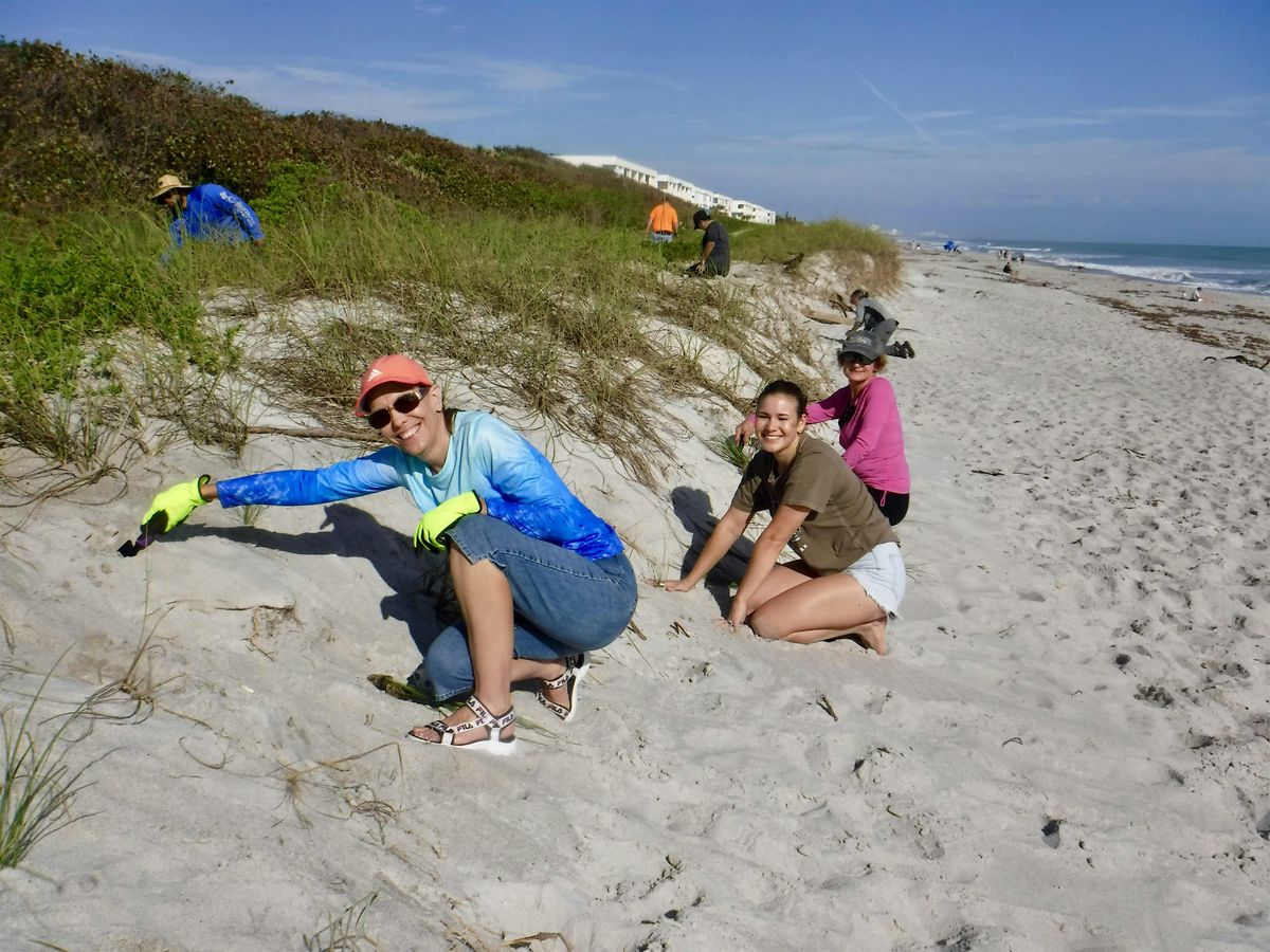 Sea Oats Planting in the Park