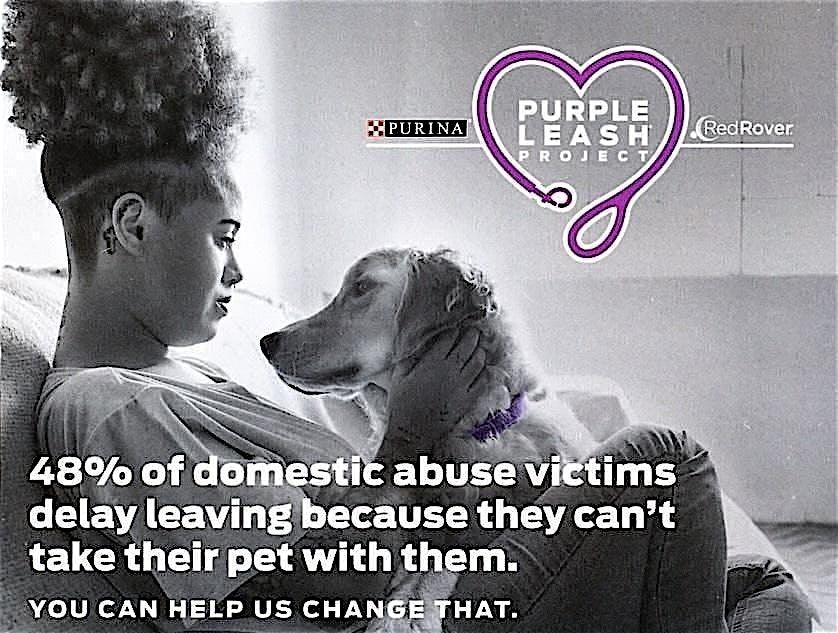 The Purple Leash Project Pup Walk