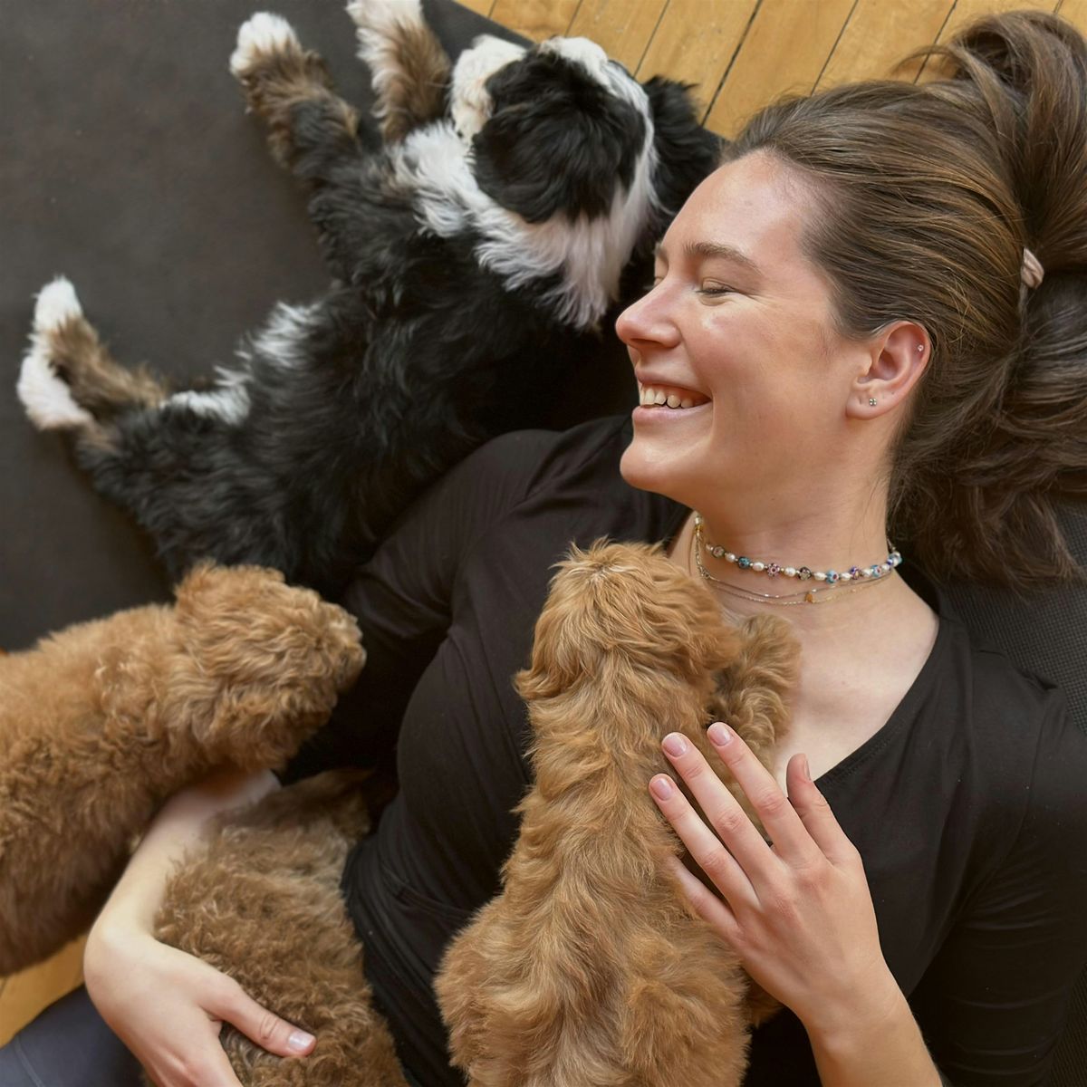 Puppy Yoga Chicago
