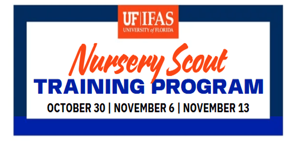 Nursery Scout Training