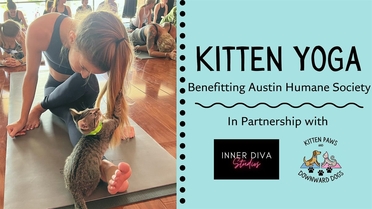 Kitten Yoga Benefitting Austin Humane Society