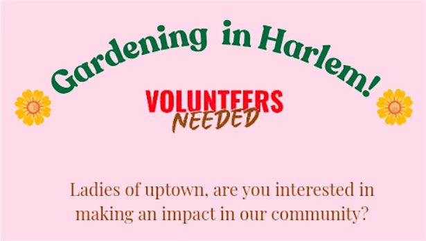 Gardening Harlem