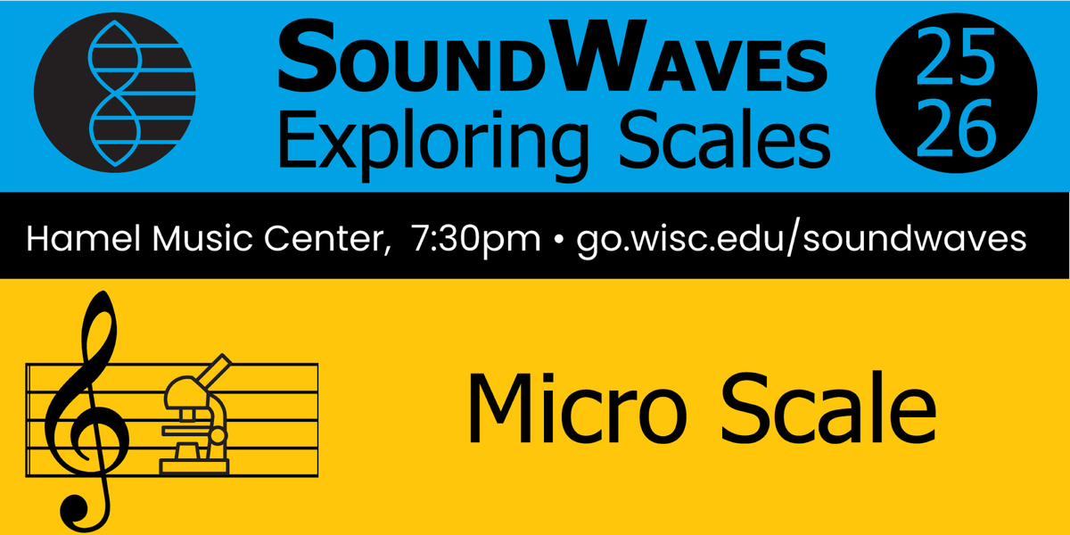 SoundWaves: Micro Scale