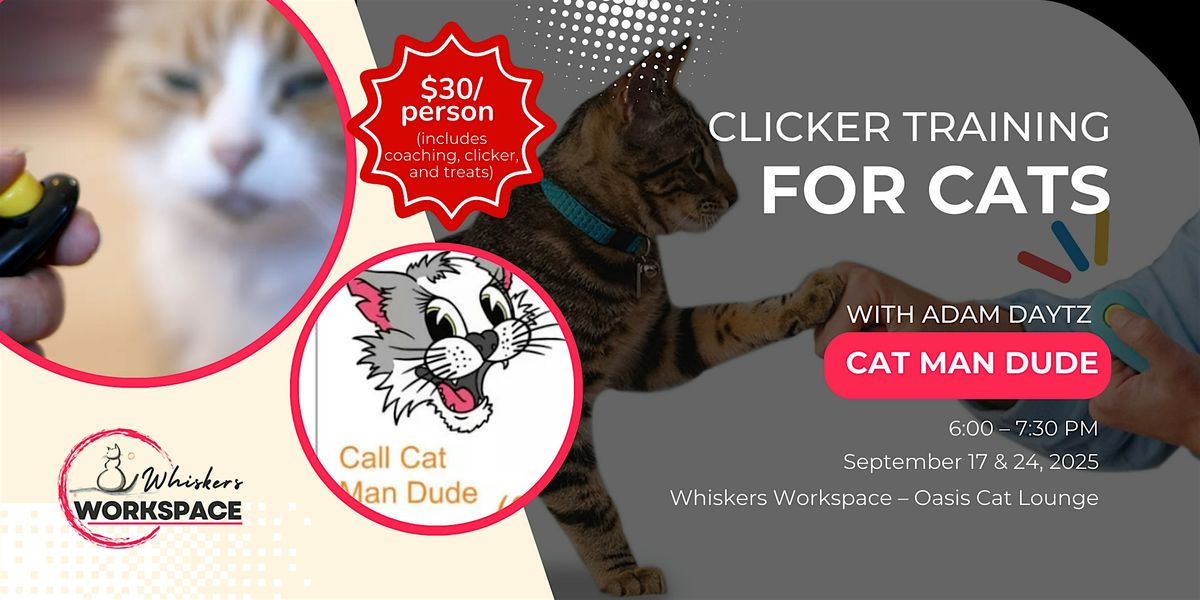 Clicker Training for Cats with Adam Daytz \u2013 Cat Man Dude