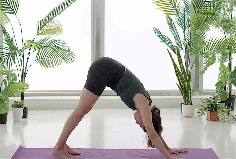 Planty Yoga