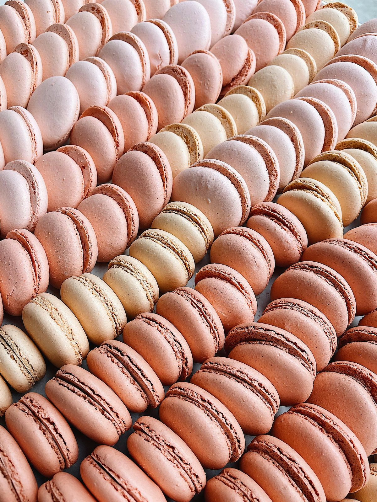 French Macarons