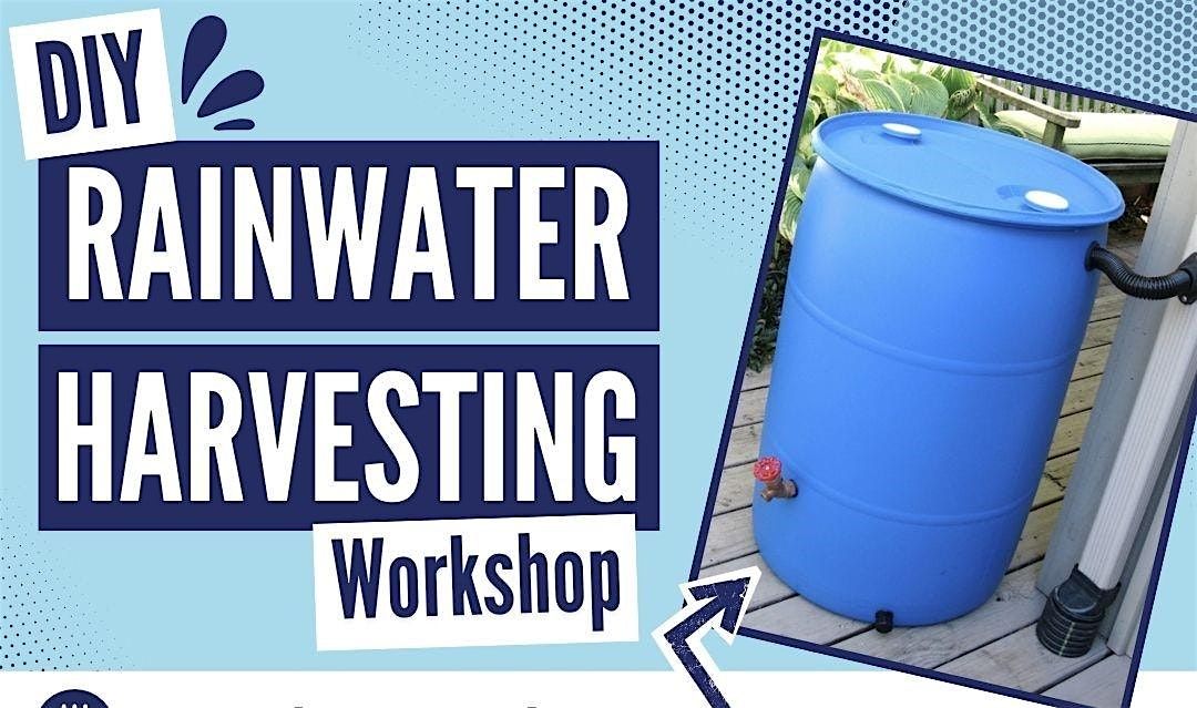 DIY Rainwater Harvesting