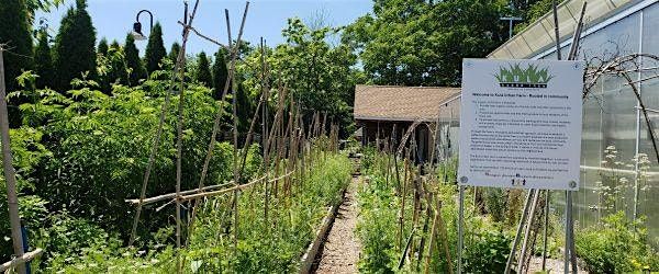 Neighbors, Nature, and Networking at Kula Urban Farm