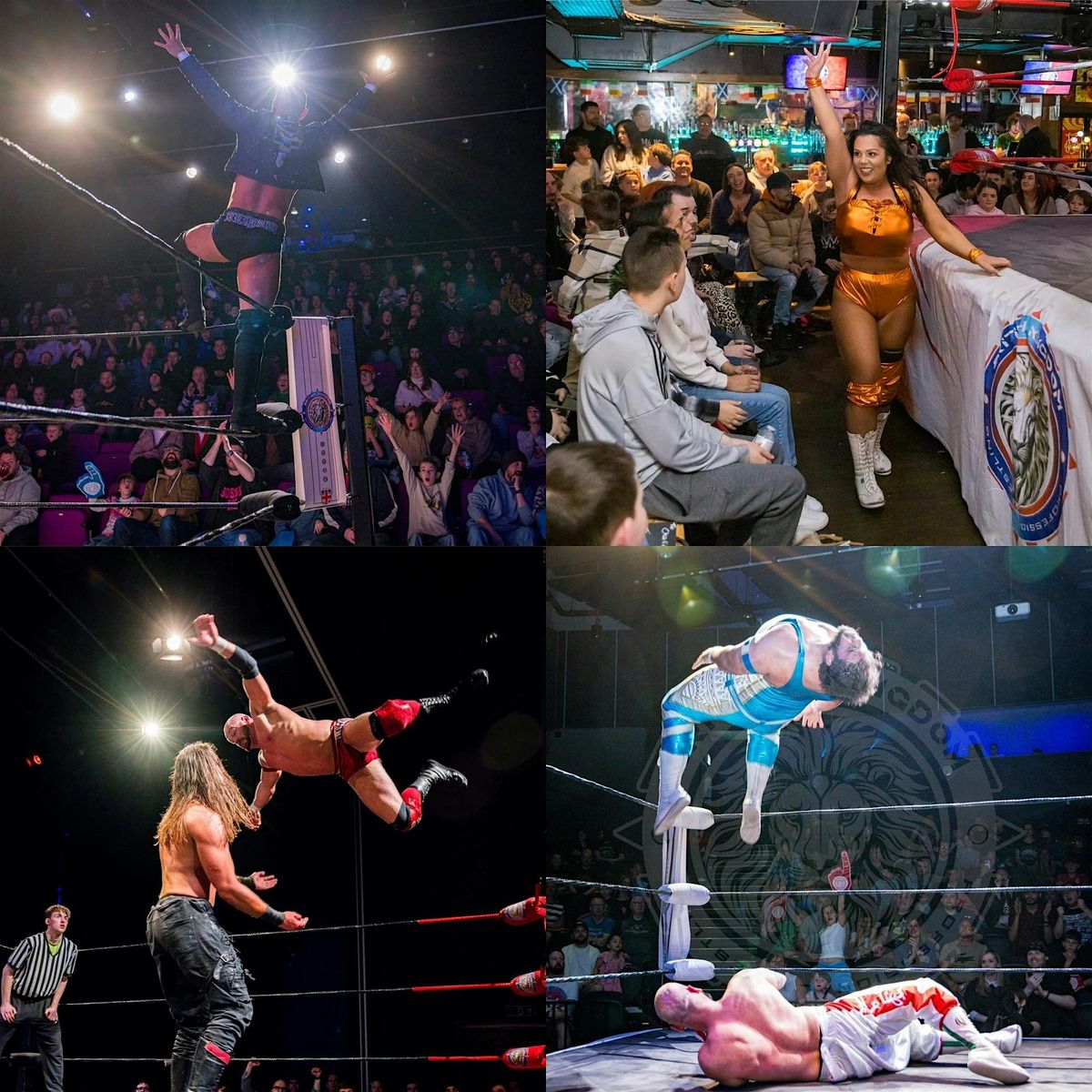 Live! Wrestling Mega Show- Cardiff