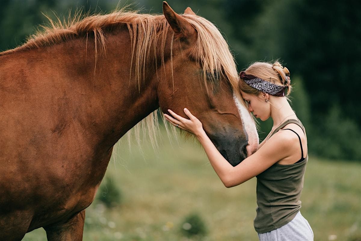 Healing Hooves and Helping Hands