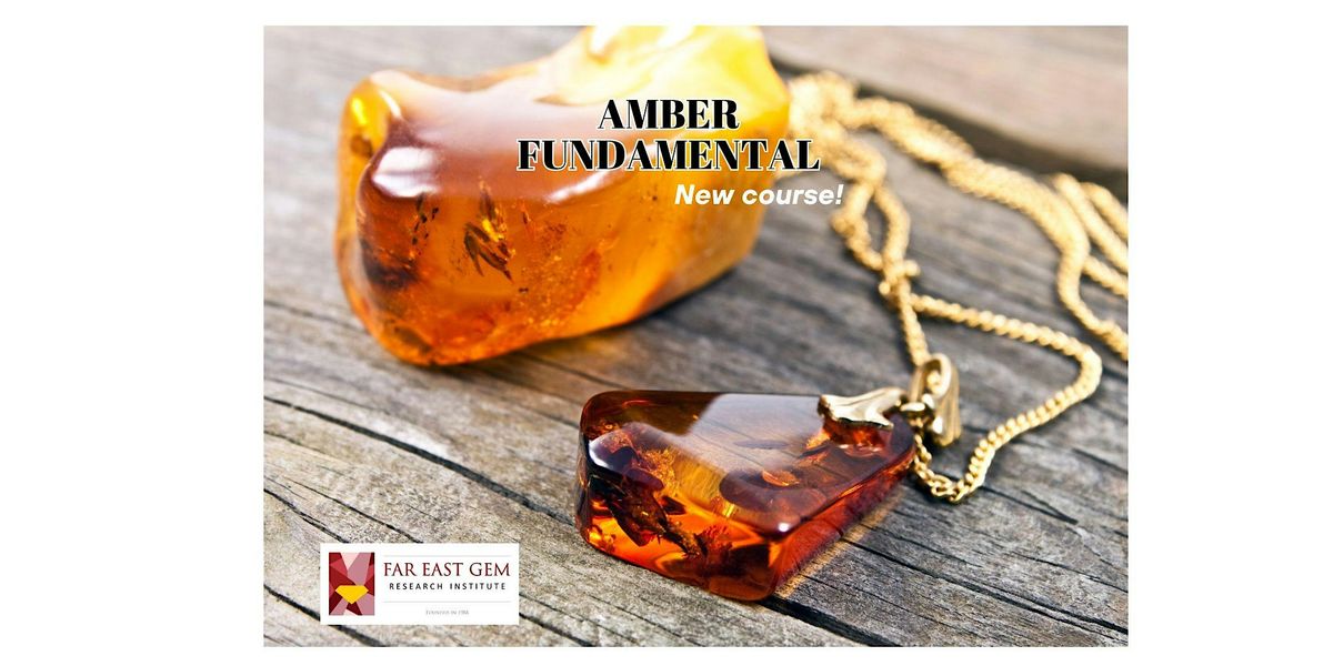 Amber Fundamental