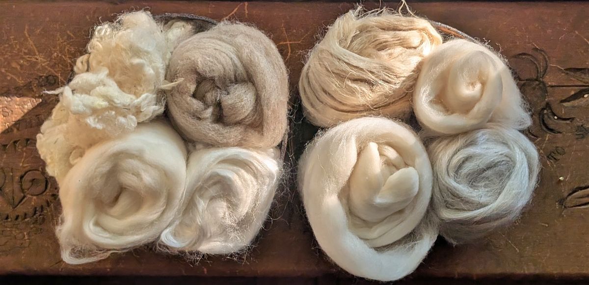 Fiber Tasting: A Spinner\u2019s Sampler