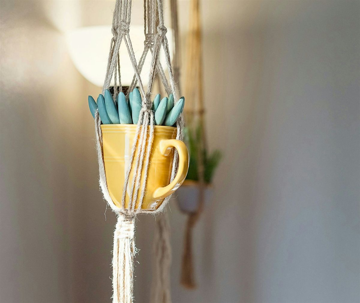 Macrame Plant Pot Holder Class