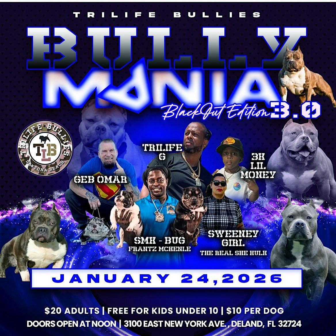 Bully Mania 3.0