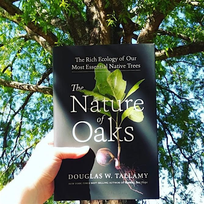 Book Club: "The Nature of Oaks"