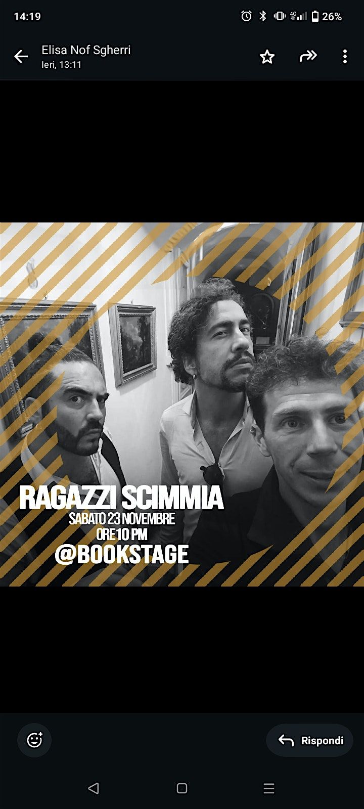 Ragazzi Scimmia Live!!!