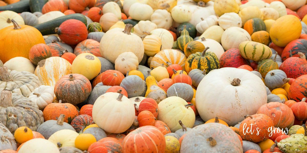 Decoupage Pumpkin Workshop