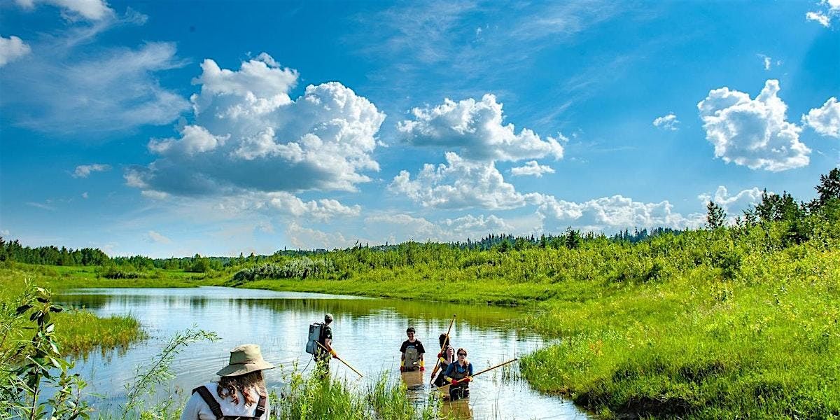 Land Reclamation: A Tool To Help Our Planet