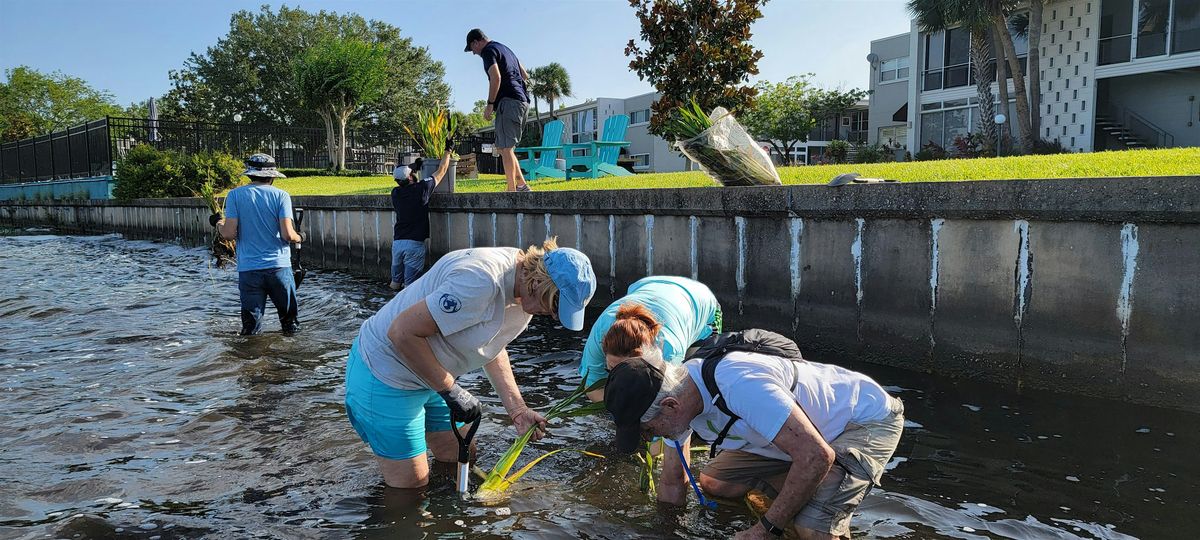 Shoreline Restoration at Lake Berry