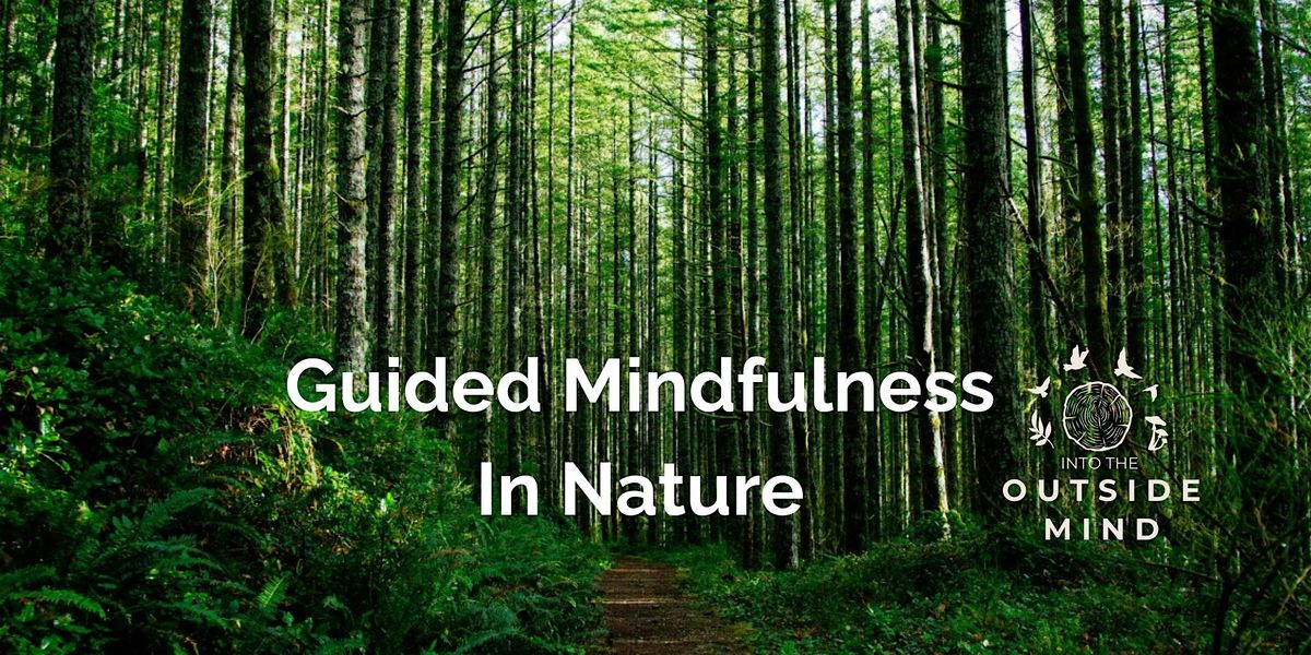 Guided Mindfulness in Nature Sessions