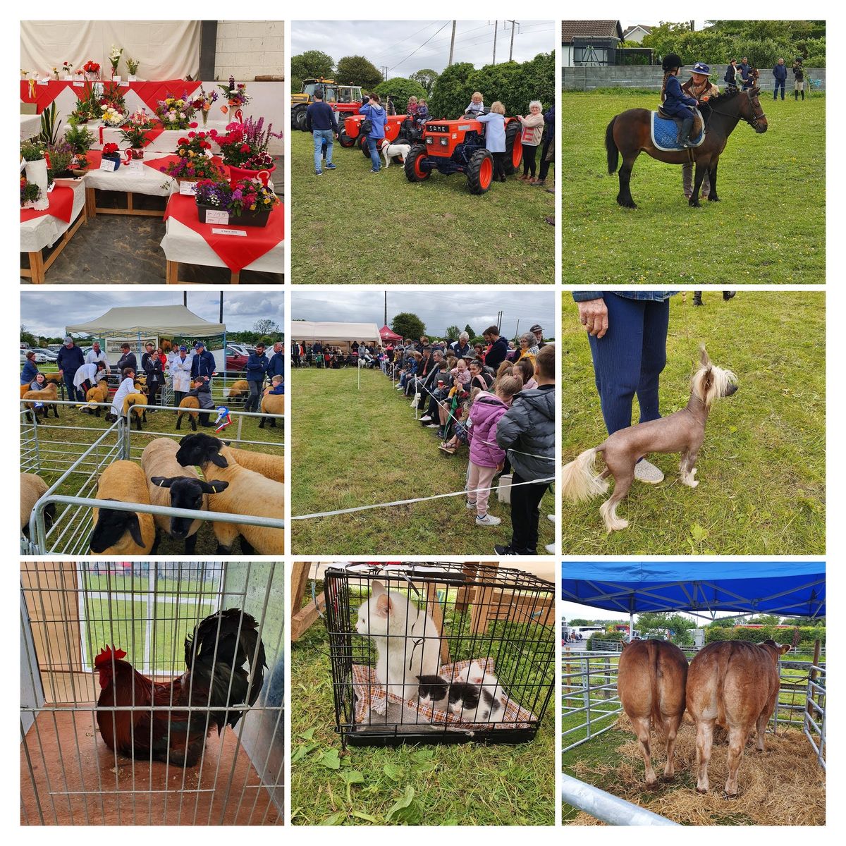 Claregalway Agricultural Show