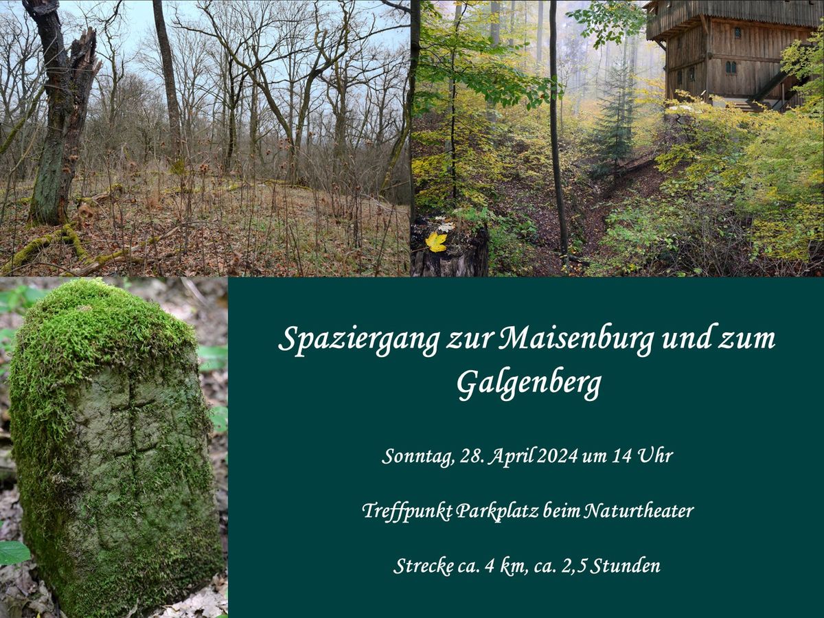 Spaziergang zur Maisenburg & zum Galgenberg