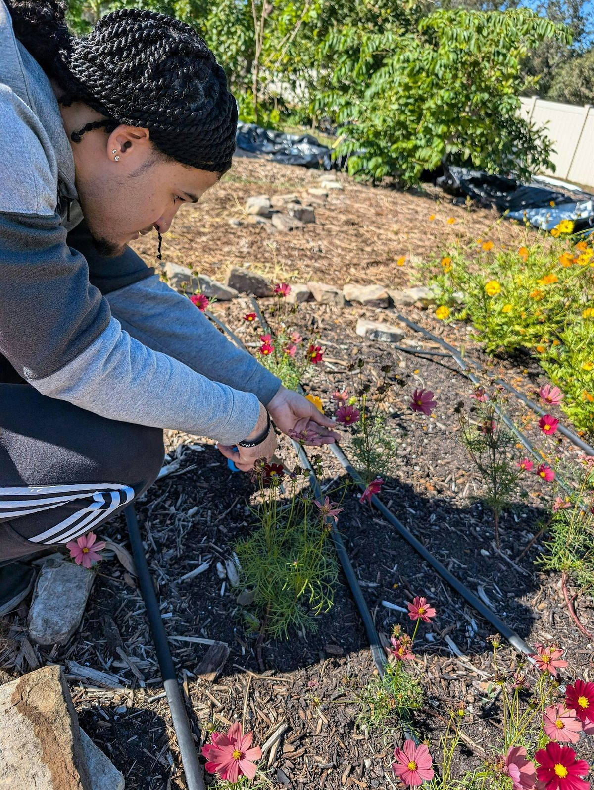 Food Forest Workday: Open to Everyone!